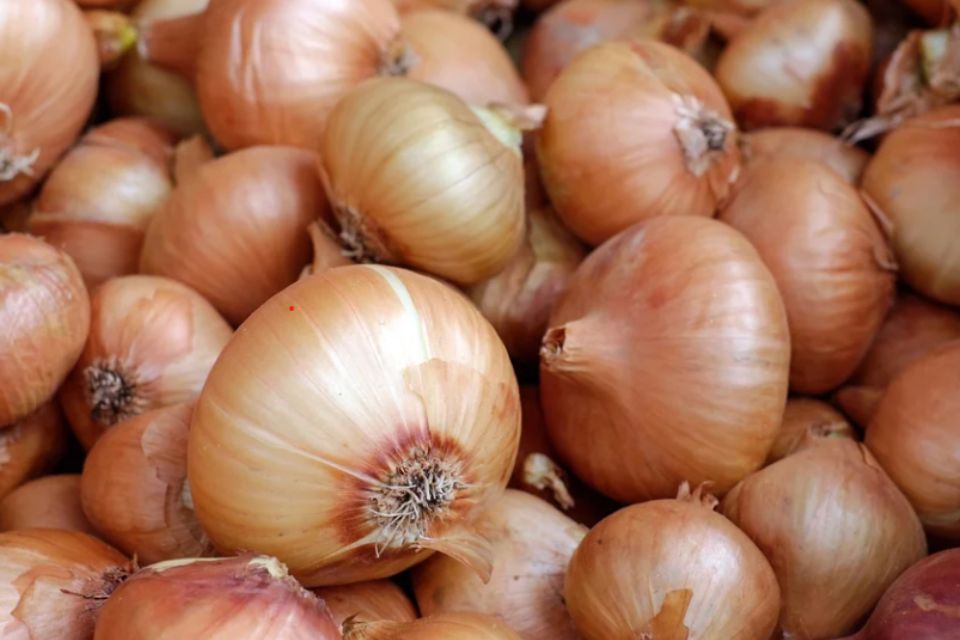 On-page image - 960 x 640 pixels - 1