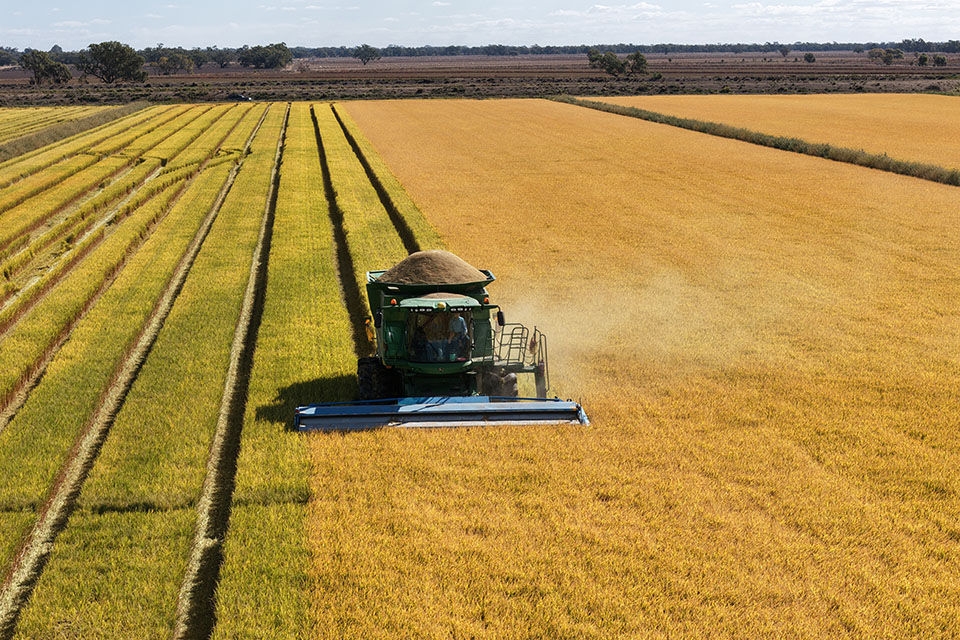 Harvesting machine working in field