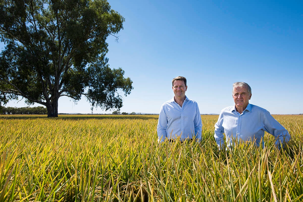 Rob Gordon and Laurie Arthur standing in a rice field