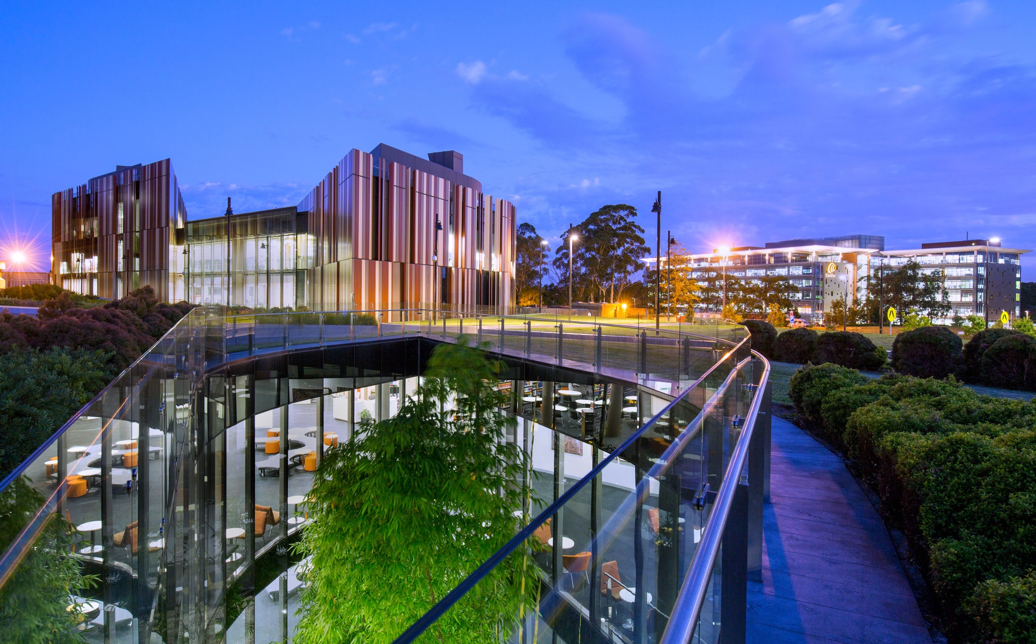 Exterior of the rear of the University library at sunset.