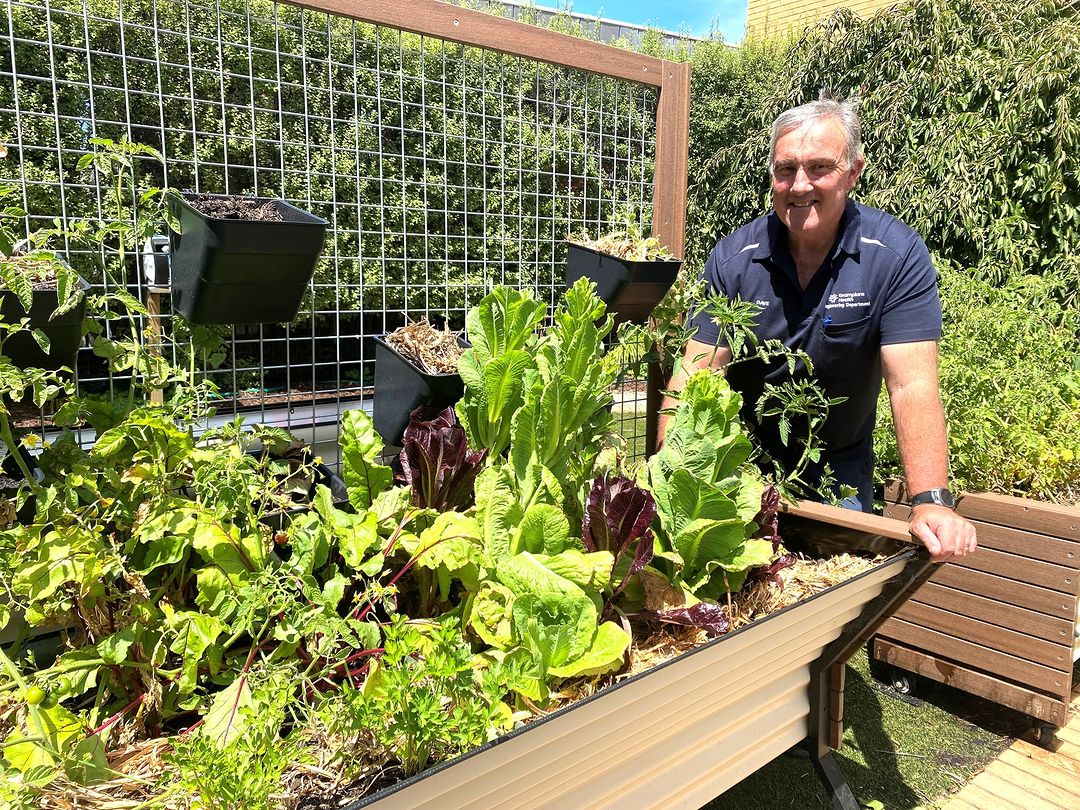 A man standing next to a planter box with vegetables.