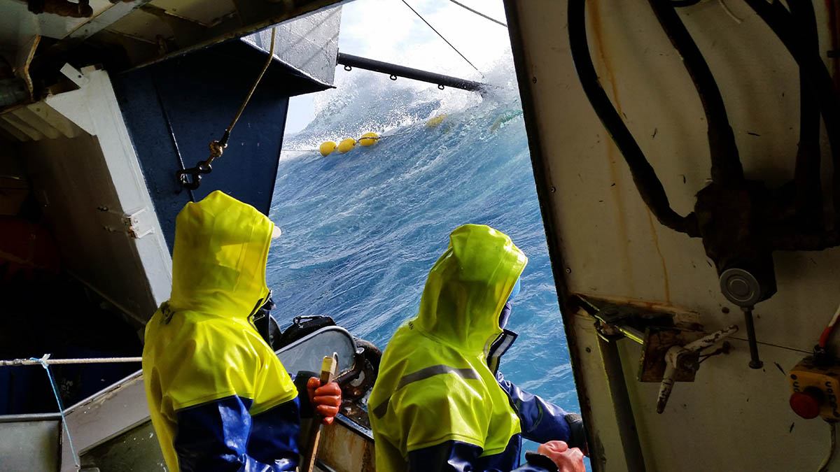 Southern ocean waves Austral Fisheries