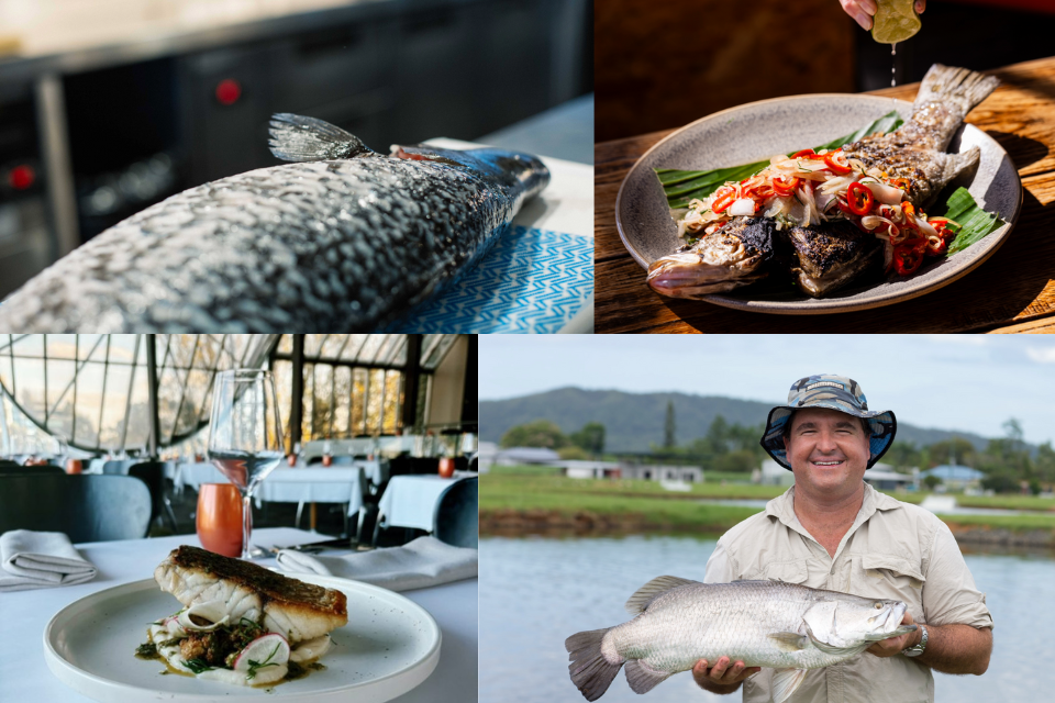 The clean taste and sustainable provenance of Infinity Blue’s barramundi has triggered a wave of interest from Europe.
