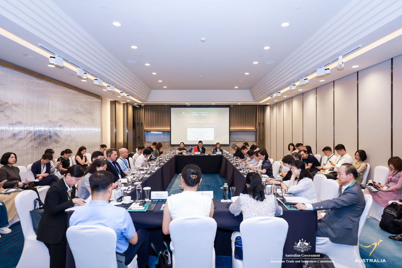 Australian medtech companies at a roundtable on the Connect policy hosted by Austrade.