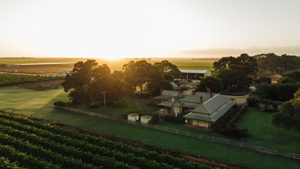 South Australia’s Metala has the oldest family-owned Cabernet Sauvignon vines in the world.